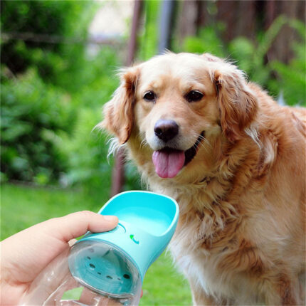 PawHydrate  Portable Pet Water Bottle